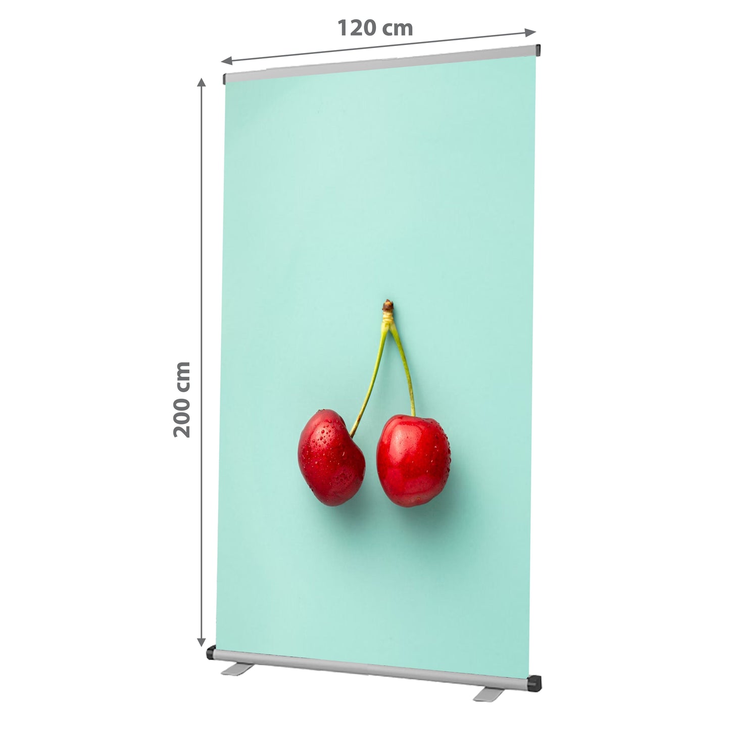 Roll-up banner 100