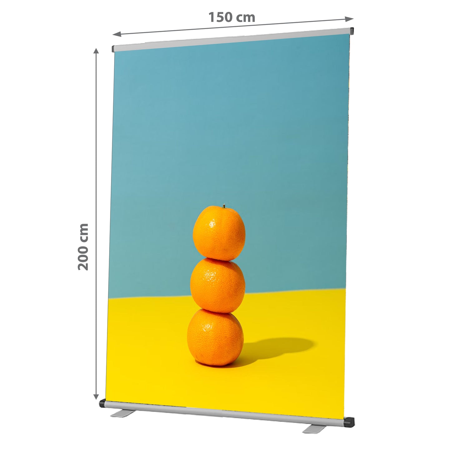 Roll-up banner 100